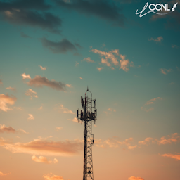 Telecomunicazioni - Servizi di Telefonia (dal 01.07.00)